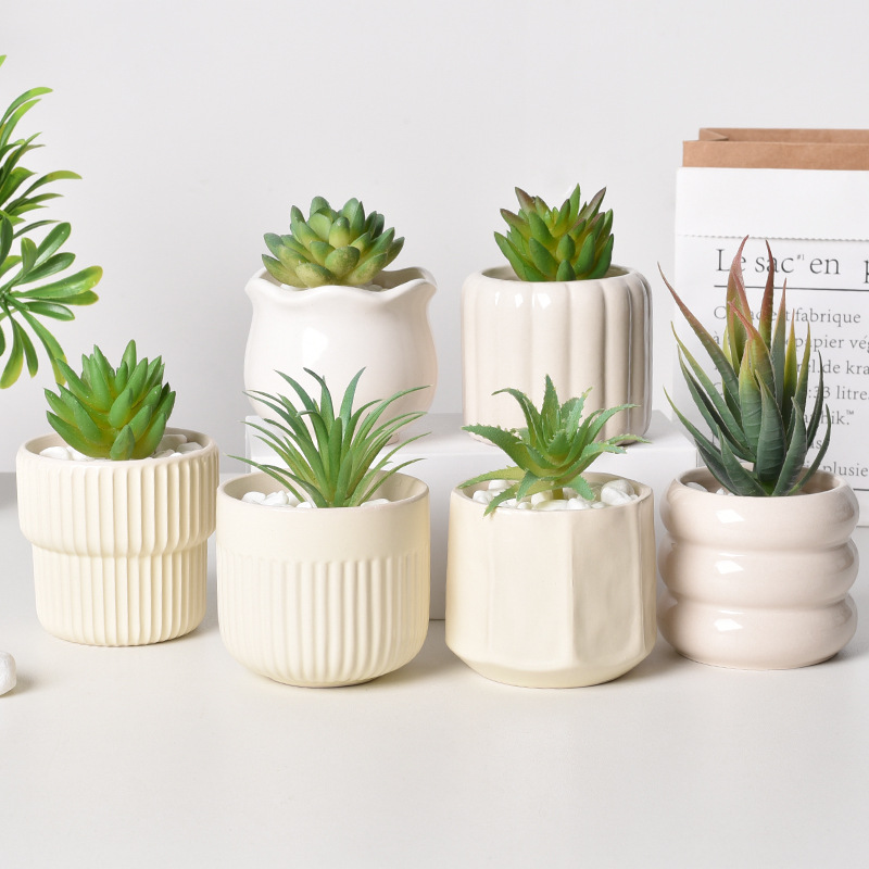 Ceramic Self-Watering Succulen - огляд і ціна Echeveria Succulent