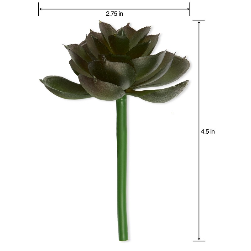 Artificial Succulent Pick Dark - огляд і ціна Echeveria Succulent