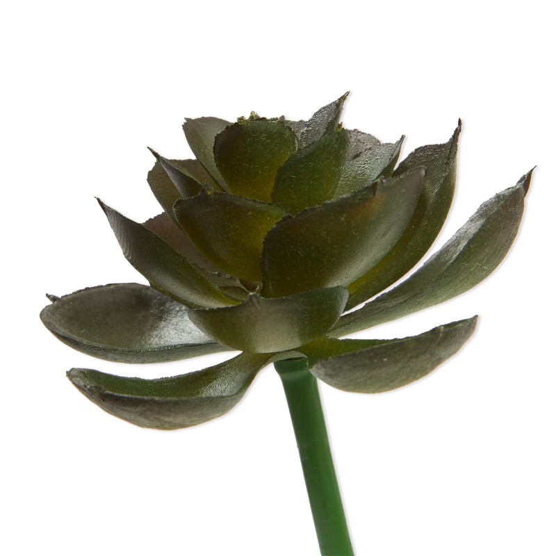 Artificial Succulent Pick Dark - огляд і ціна Echeveria Succulent