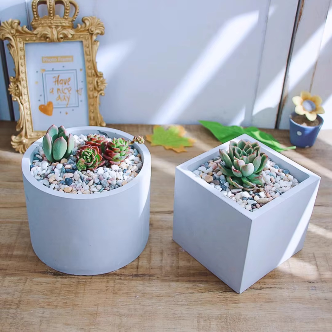 15cm Large Size Round Concrete - огляд і ціна Echeveria Succulent